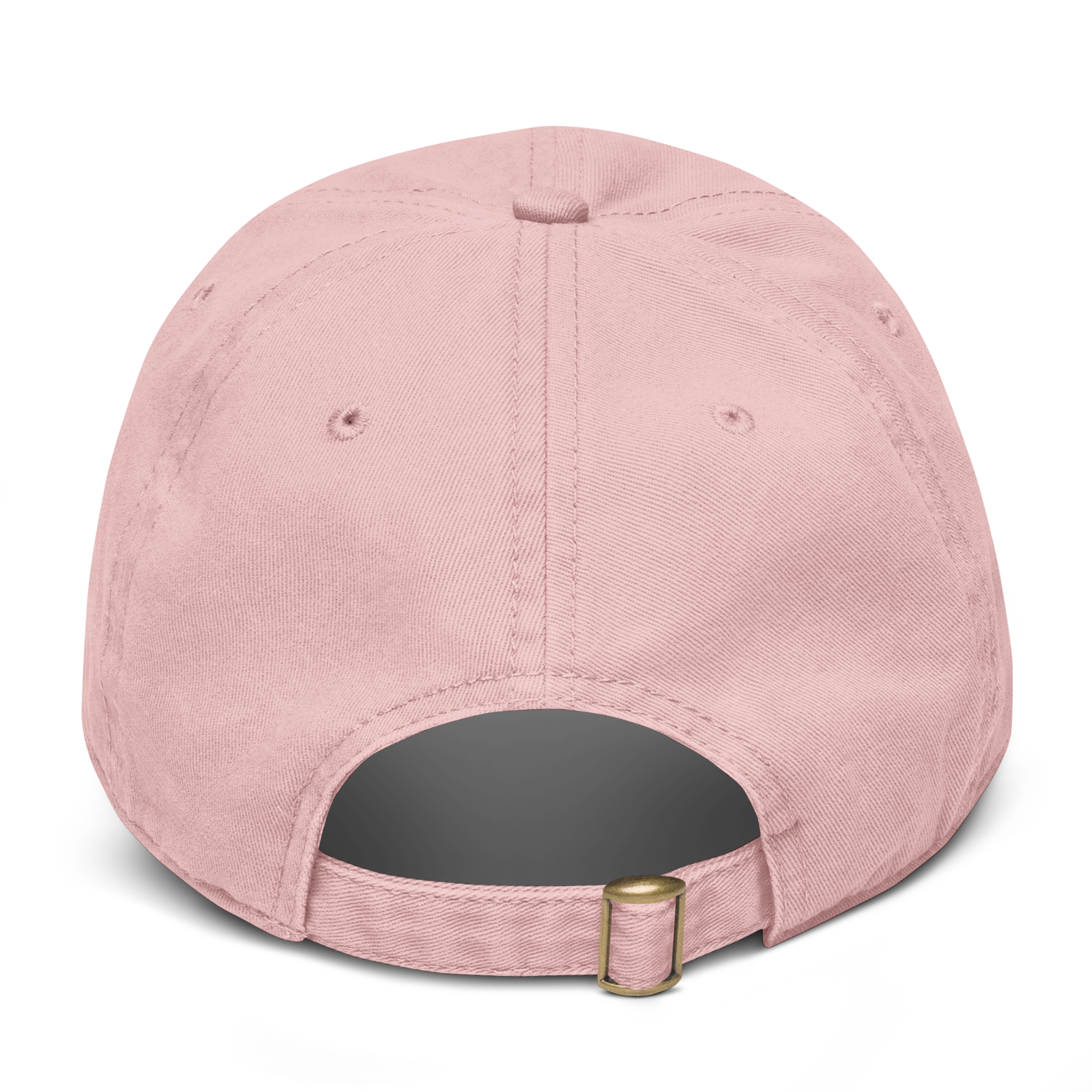 "I AM" WORTH Garment washed baseball cap