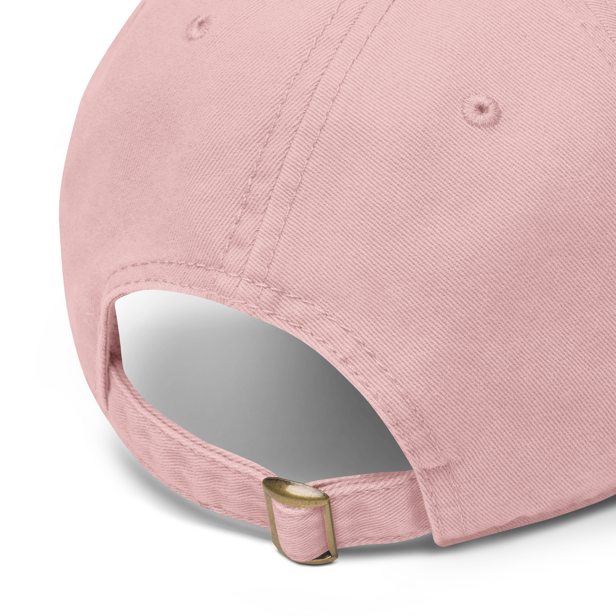 "I AM" WORTH Garment washed baseball cap